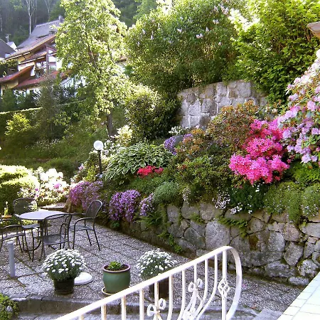 Lejlighed Maier-2 By Interhome Triberg im Schwarzwald