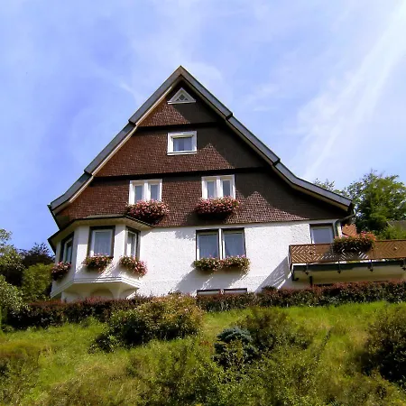 Maier-2 By Interhome Lejlighed Triberg im Schwarzwald