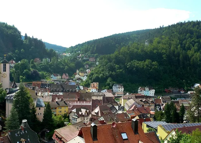 公寓 Maier-2 By Interhome 特里贝格