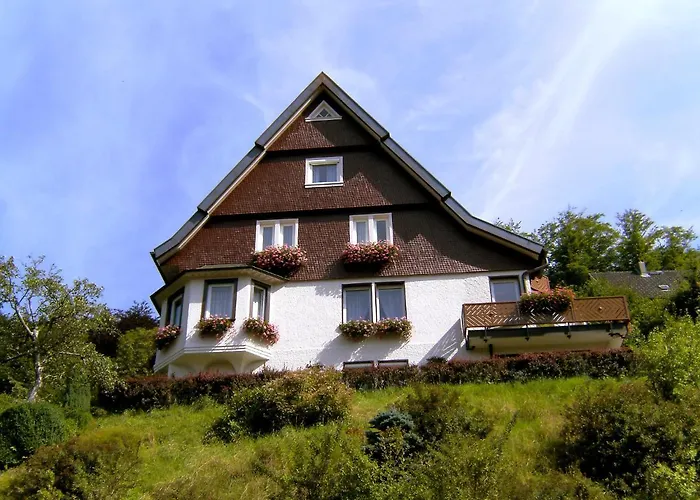 Maier-2 By Interhome 公寓 特里贝格