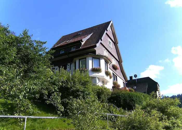 Maier-2 By Interhome 特里贝格